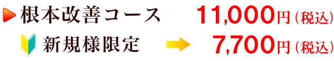 根本改善コース