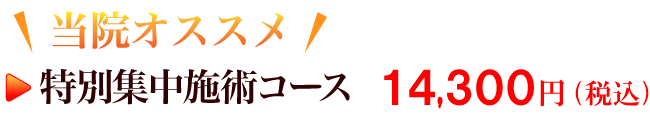 特別施術集中コース